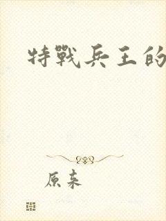 特战兵王的小说