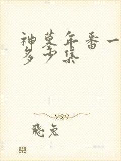 神墓年番一共有多少集