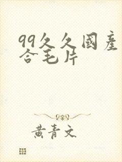 99久久国产综合毛片