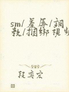 sm/羞辱/调教/捆绑视频