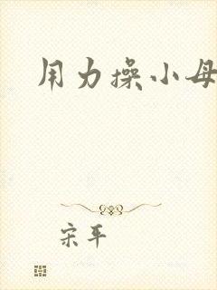 用力操小母狗封面