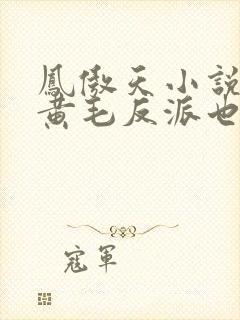 凤傲天小说里的黄毛反派也想要幸福生活