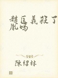 赵匡义杀了赵匡胤吗封面