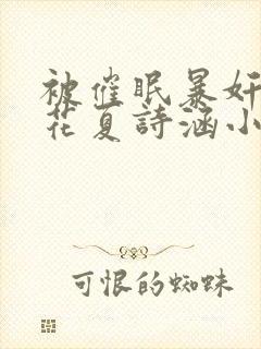 被催眠暴奸的校花夏诗涵小说