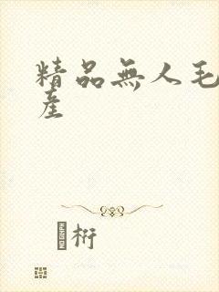 精品无人毛片国产