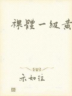 裸体一级黄色片