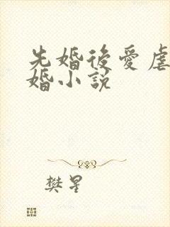 先婚后爱虐心军婚小说封面