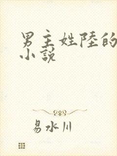 男主姓陆的总裁小说