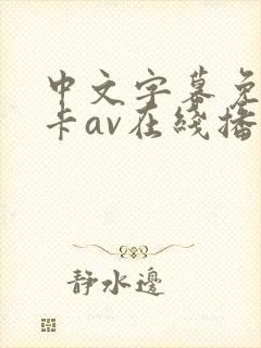 中文字幕免费不卡av在线播放