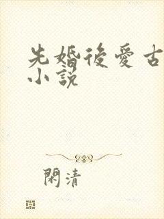 先婚后爱古代的小说封面