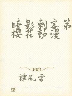 暗影刺客第4季樱花动漫