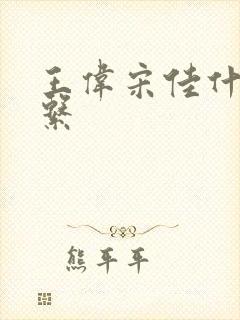 王伟宋佳什么关系