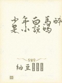 少年白马醉春风是小说吗封面