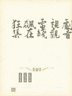 狂飙电视剧40集在线观看免费星空