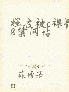 辉夜被c裸体18禁网站