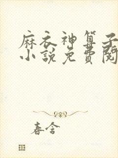 麻衣神算子全本小说免费阅读
