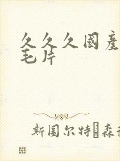 久久久国产精品毛片