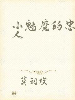 小魅魔的忠实仆人封面