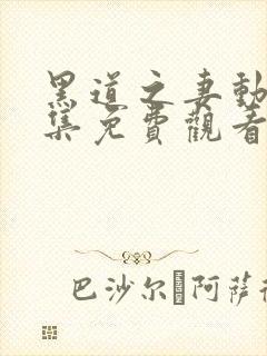 黑道之妻动漫全集免费观看高清封面