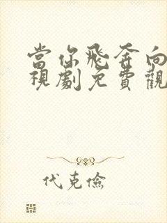 当你飞奔向我电视剧免费观看13集封面