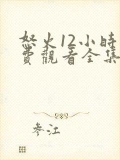 怒火12小时免费观看全集