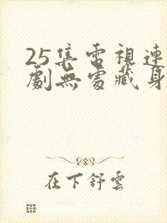 25集电视连续剧无处藏身免费观看