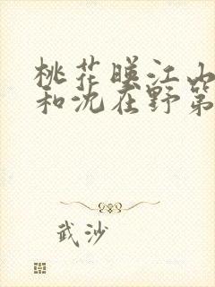 桃花映江山桃花和沈在野第几集和好封面