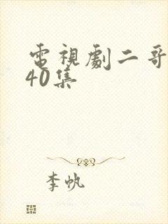 电视剧二哥二嫂40集