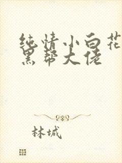 纯情小白花爱上黑帮大佬
