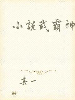 小说武霸神荒