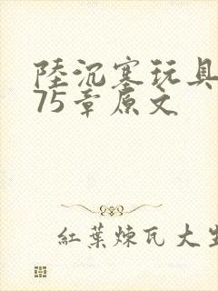 陆沉塞玩具高速75章原文封面