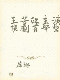 王芳政主演的电视剧有哪些