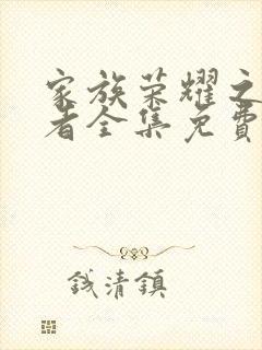 家族荣耀之继承者全集免费版播放