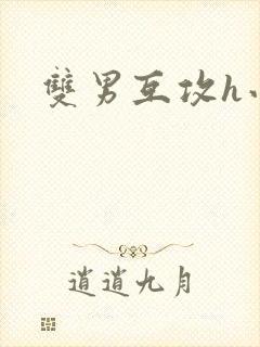 双男互攻h小说