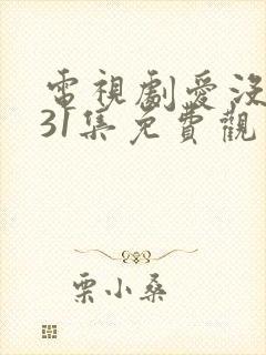 电视剧爱没有错31集免费观看