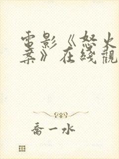 电影《怒火·重案》在线观看