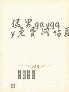 猛男gaygay免费网站欧美