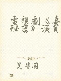 电视剧《妻子的秘密》演员