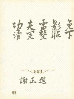 功夫电影免费高清完整版下载