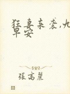 狂妻来袭,九爷早安