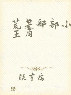 荒是哪部小说的主角