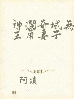 神澜奇域无双珠主角妻子
