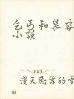 乞丐和慕容雪的小说