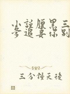 小说腹黑三宝渣爹追妻你别怂小说