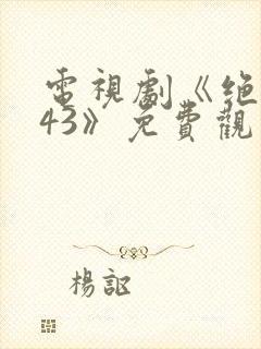 电视剧《绝密543》免费观看全集