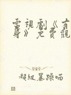电视剧《有罪之身》免费观看