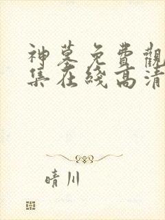 神墓免费观看全集在线高清