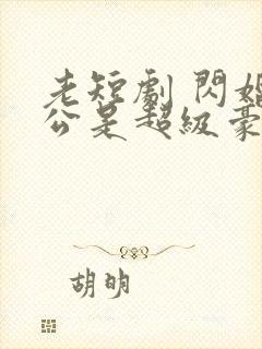 老短剧 闪婚老公是超级豪门