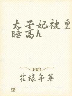太子妃被皇上强睡高h
