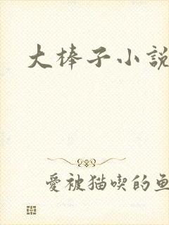 大棒子小说